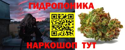 mdpv Лесосибирск