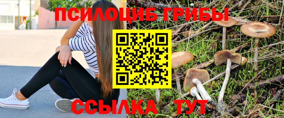 Донецк  Галлюциногенные грибы Magic Shrooms  Вход с VPN 